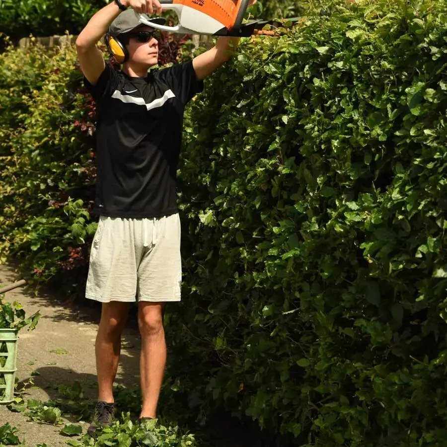 Landscaper trimming a hedge with a power trimmer in a Perth garden — Systemly builds automated quoting and booking systems for landscaping businesses
