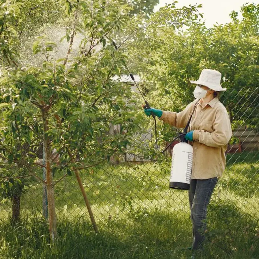 Pest control technician spraying a garden tree with protective gear in Perth — Systemly builds automated scheduling and reminder systems for pest control businesses