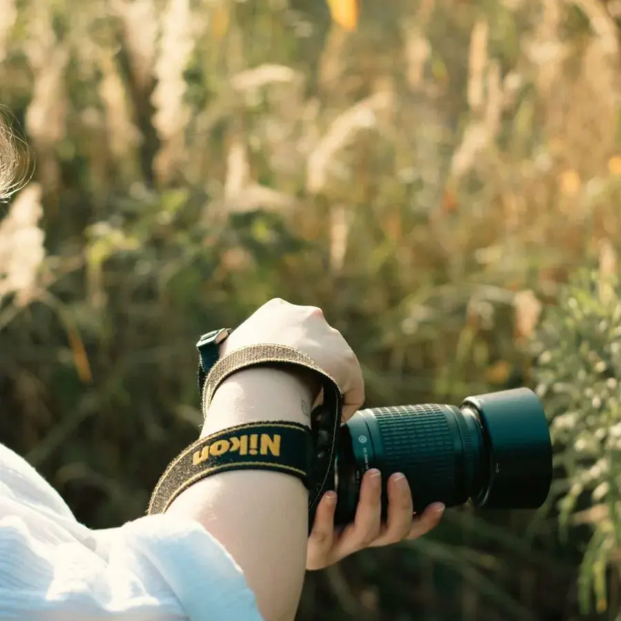 Photographer's hand holding a camera in golden-hour light outdoors in Perth — Systemly builds automated booking and gallery delivery systems for photography businesses
